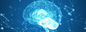 Leia mais sobre o artigo A neurociência contribuindo para um ambiente corporativo sadio.