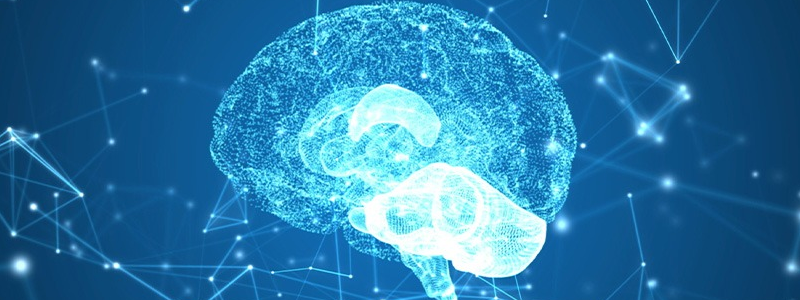 No momento, você está visualizando A neurociência contribuindo para um ambiente corporativo sadio.